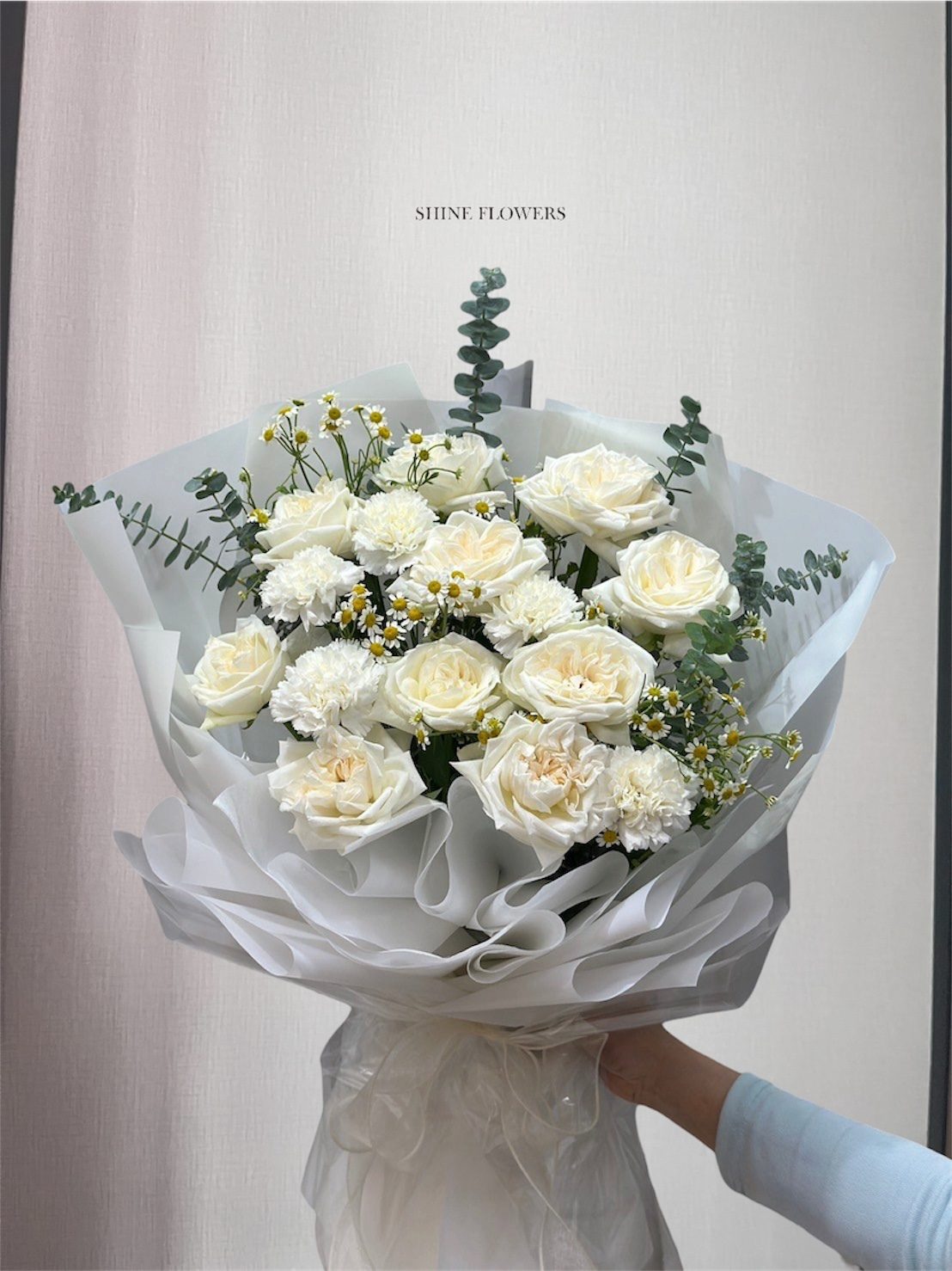 Rosesy Dream