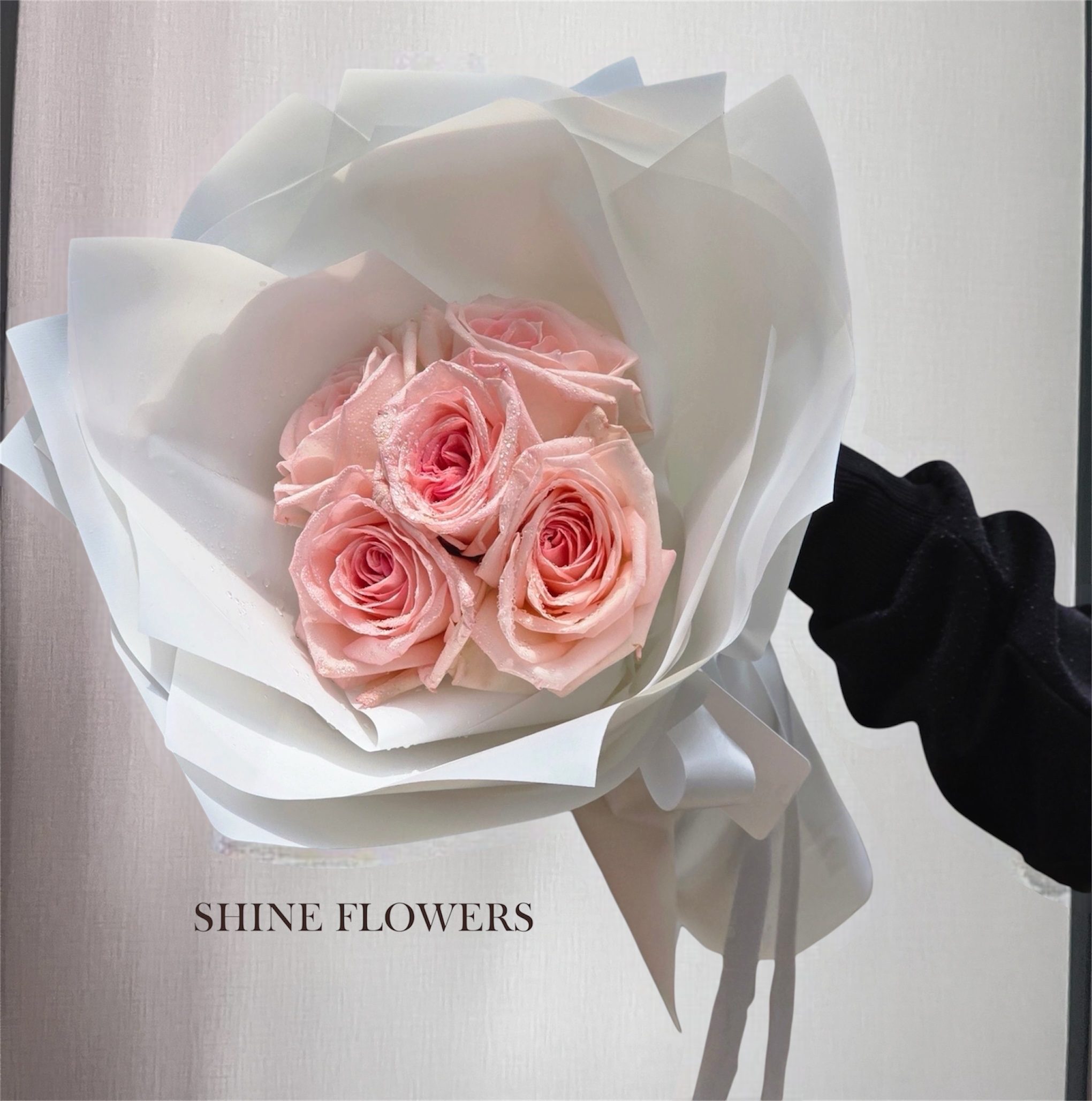 Mini 5 Roses